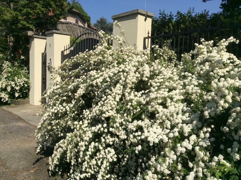 Villa La Maggiorana Rivoli  Dış mekan fotoğraf